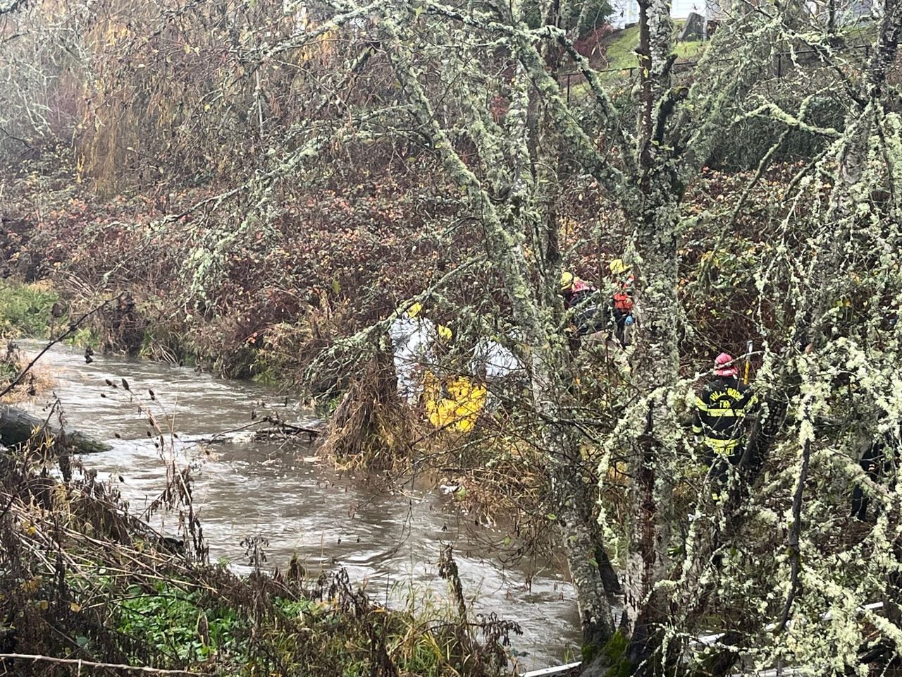 A photo shows a person in a white protective suit and firefighter in firefighting gear standing on a brush-covered slope next to Bronson Creek with what appears to be a yellow plastic tarp or bag.