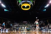  Gabby Gonzales #8 of the Oregon Ducks serves the ball during the first set against the Southeastern Louisiana Lady Lions in first round of the NCAA volleyball tournament on Thursday, Nov. 30, 2023, at Matthew Knight Arena in Eugene.