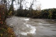 Johnson Creek near Southeast 45th Avenue, seen here on Tues., Dec. 4, 2023, not far from the Tacoma / Johnson Creek MAX station, where a person was carried off by the swift moving waters on Monday.