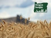 High grain prices helped inflate incomes in parts of Oregon during 2022. Prices have fallen considerably this year so last year's gains are unlikely to be sustained.